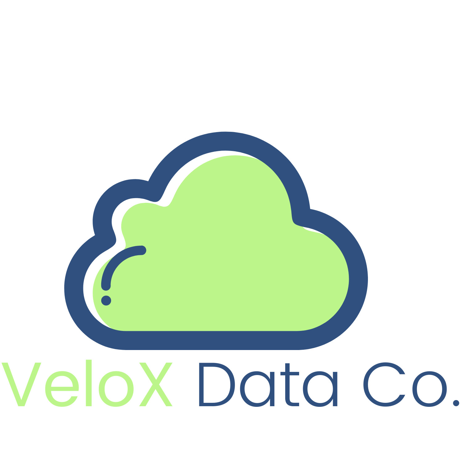 VeloX Data Co.